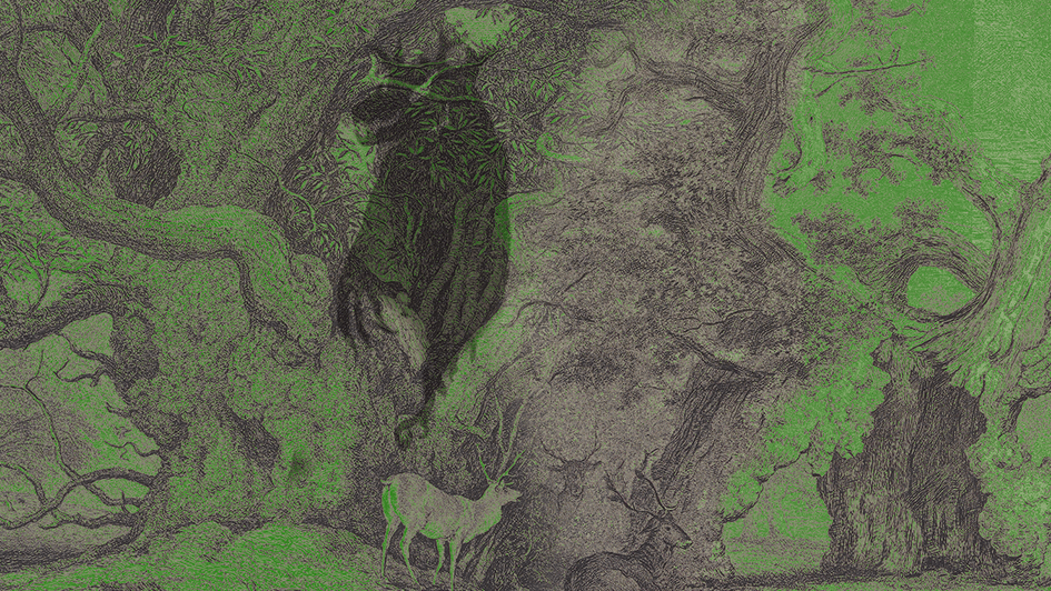 You Fight for the Trees | High Fantasy Ecological Heroism