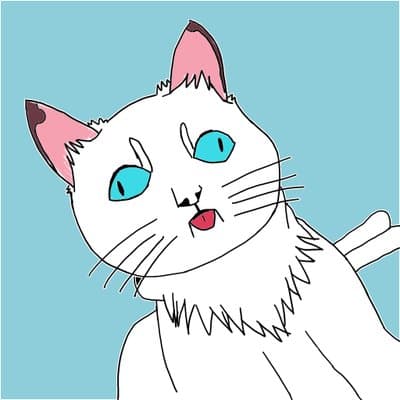 Makko  avatar