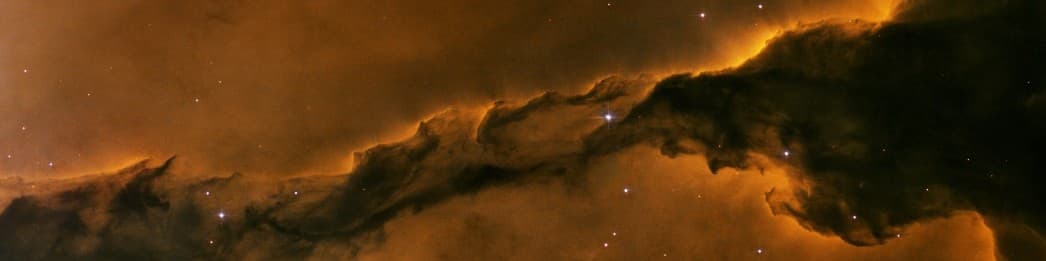 Alexander the Hunter banner