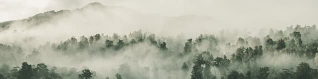 Kazi banner