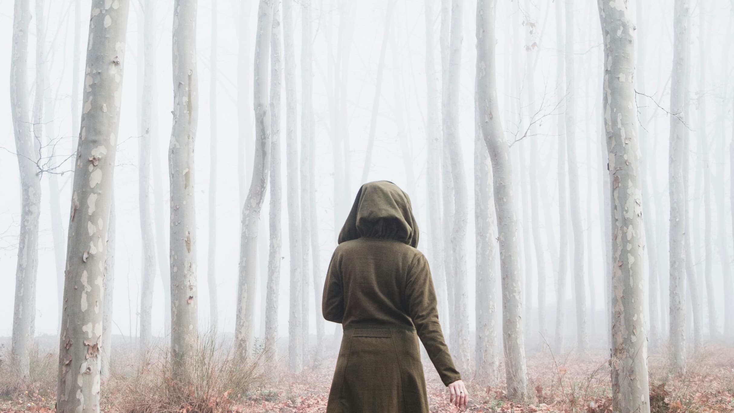 Lost in the Fall Wood-An autumn adventure | Learn to Play | OSR