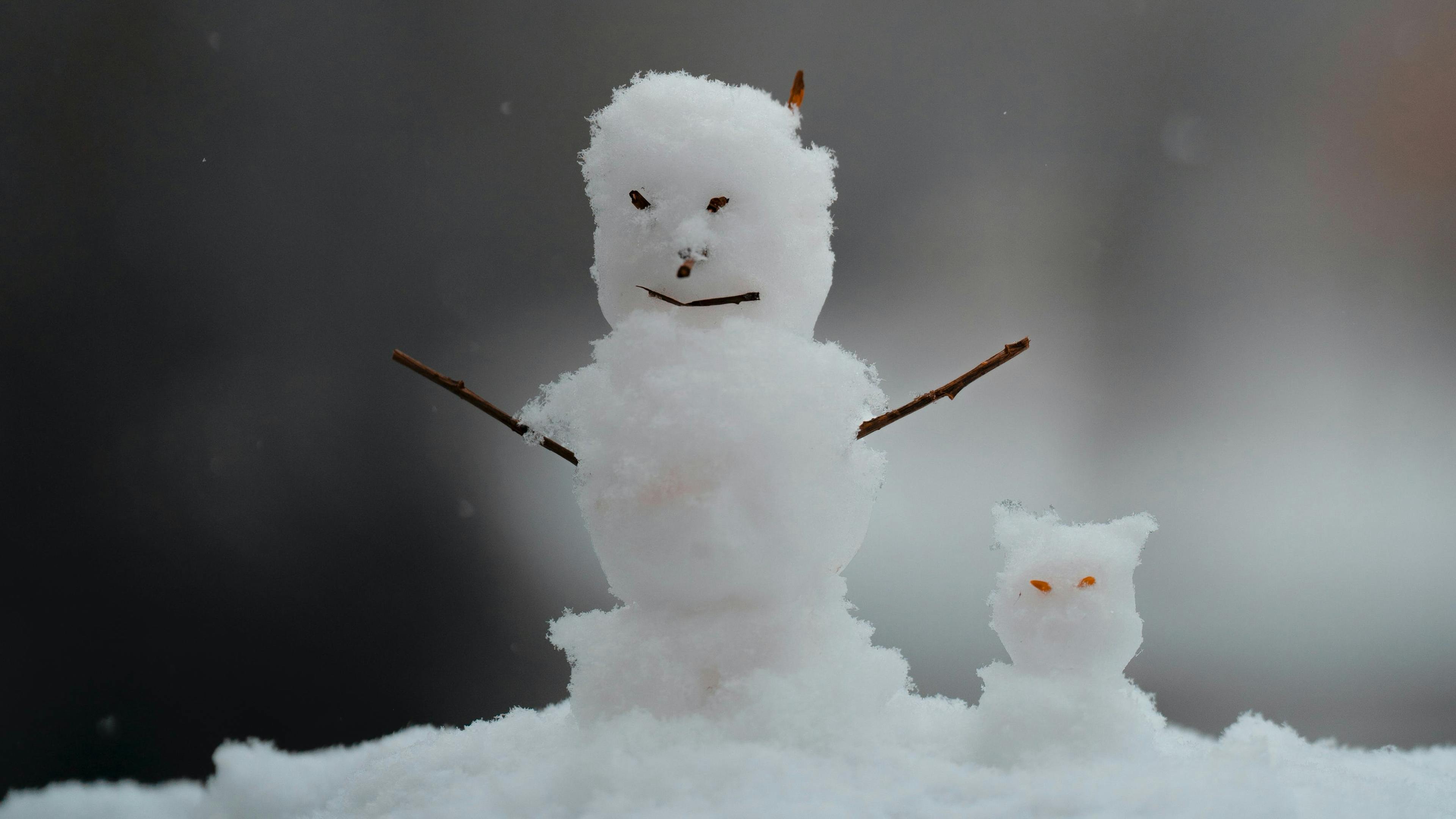 The Snowman Is Back.... And He Wants Revenge: A Kids On Bike Christmas One-Shot