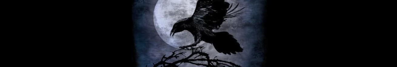 Patrick (Parshi) banner