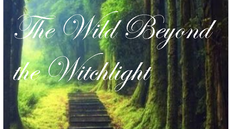The Wild Beyond the Witchlight!
