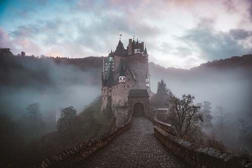 Meg E. Legacy  banner