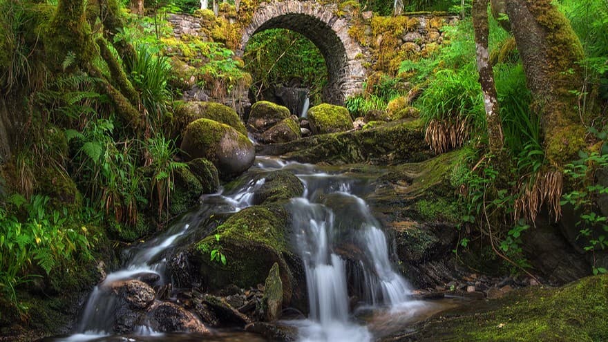 Wild Beyond the Witchlight - Level 6, 35%