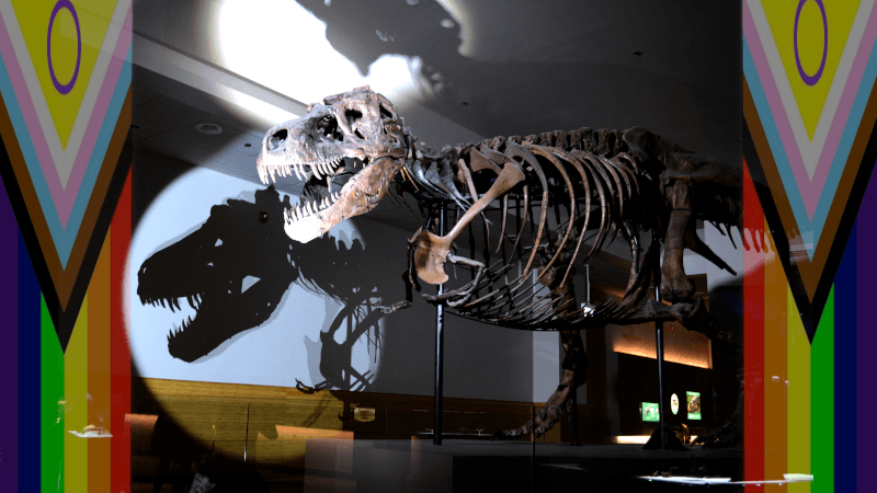 Night(mare) at the (Field) Museum | OC | Queer + New Friendly