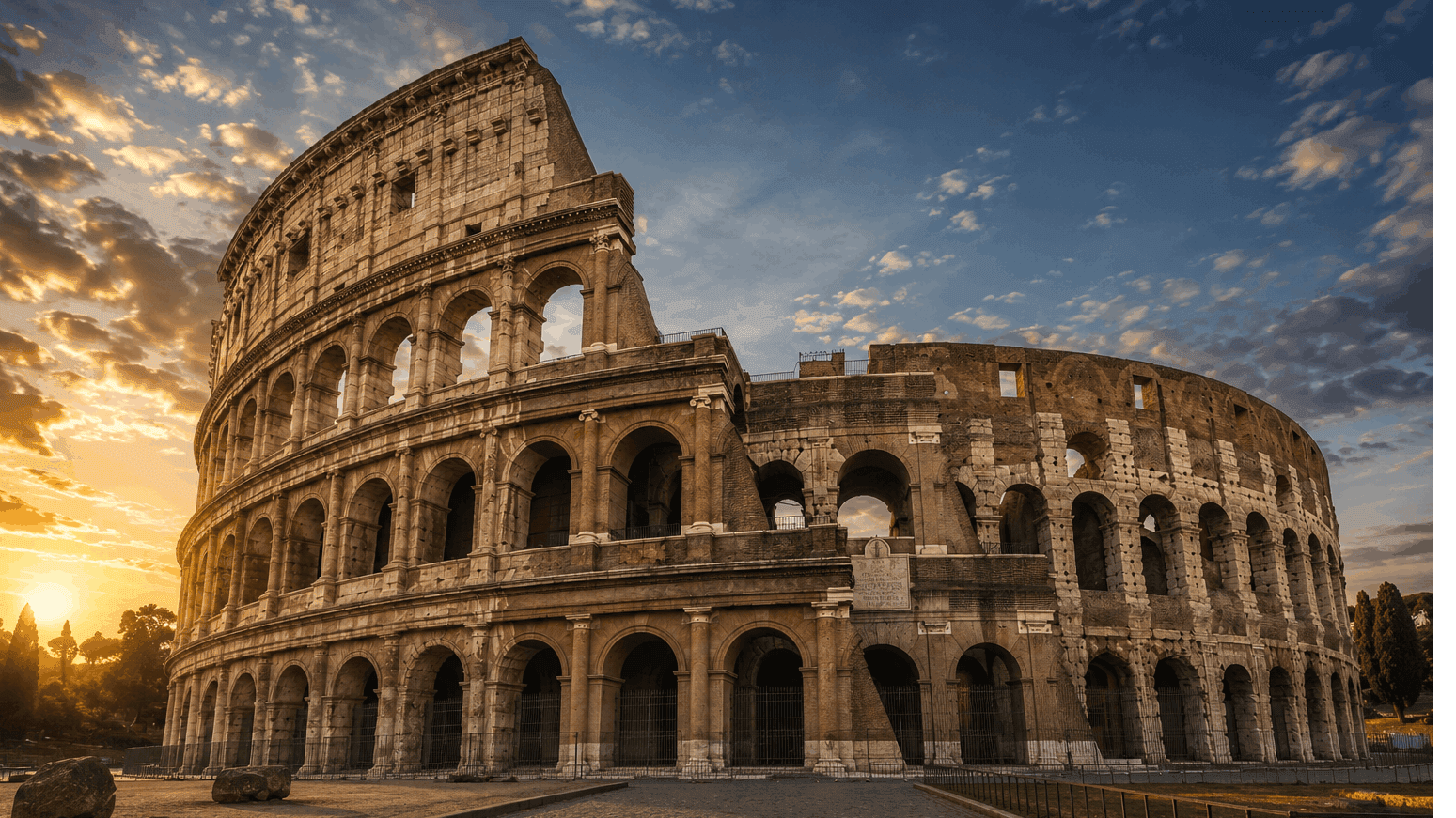 The arena