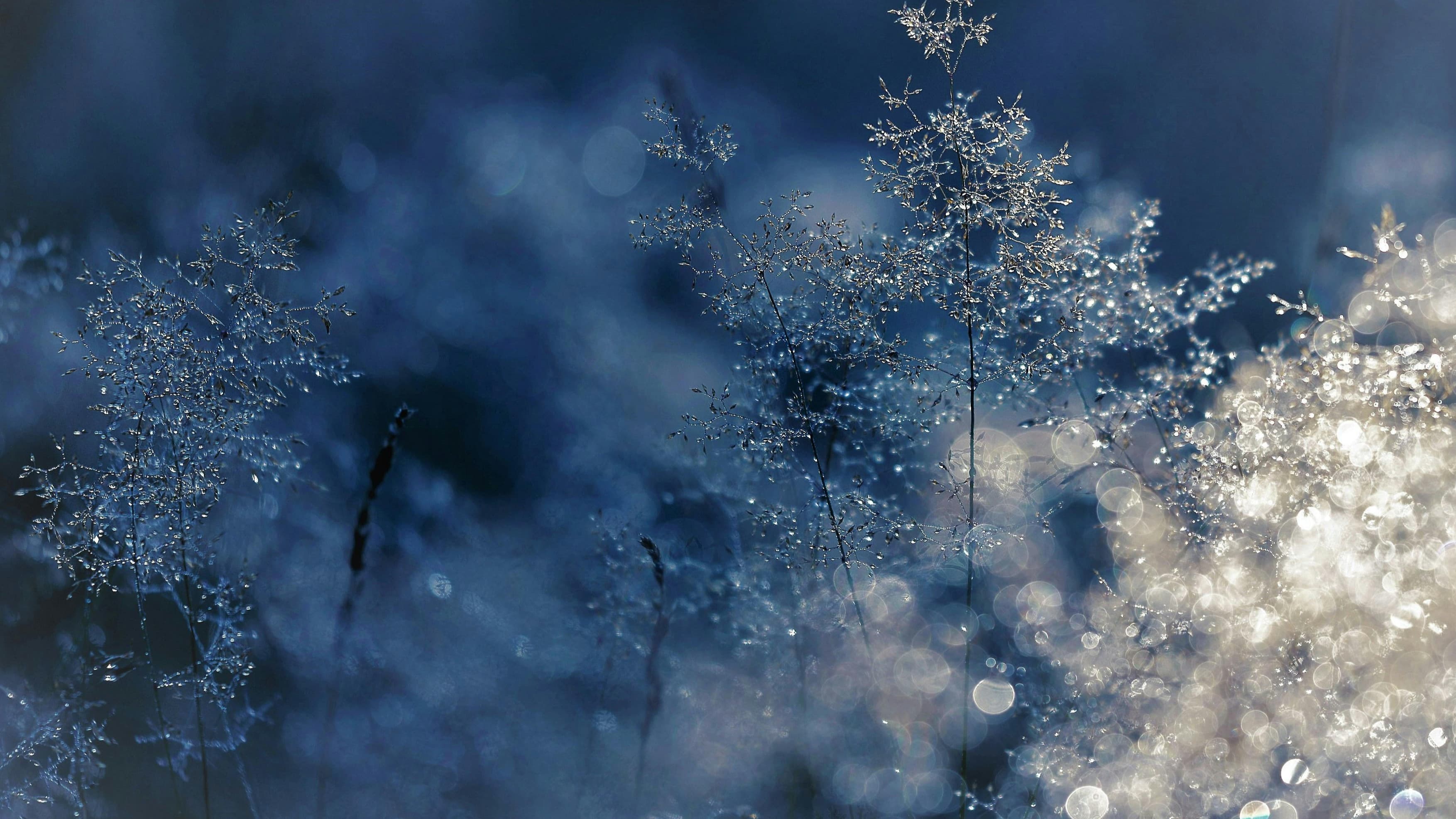 Pathfinder 2e: Icewind Dale (Rime of the Frostmaiden)