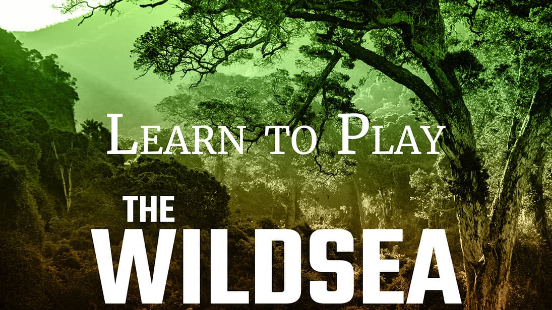 The Wildsea: An Introductory Adventure
