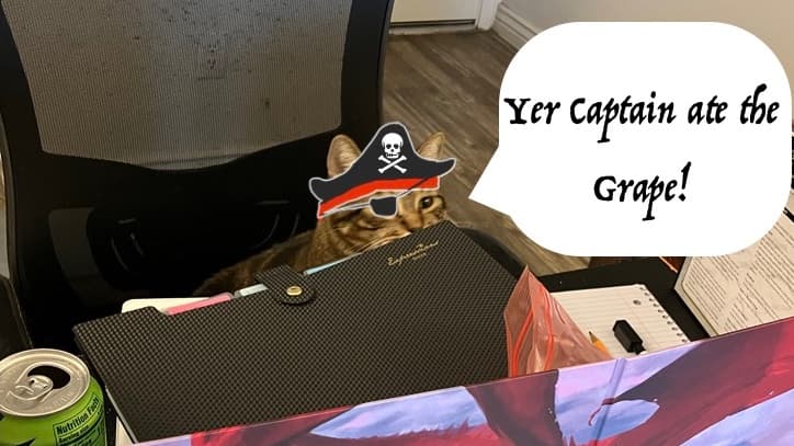 🏴‍☠️BLAGGARDS NEEDED🏴‍☠️ (NO COWARDS) | D&D5e 2014 Pirates