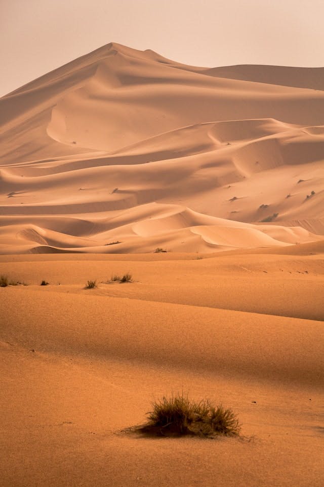 Desert Campaign