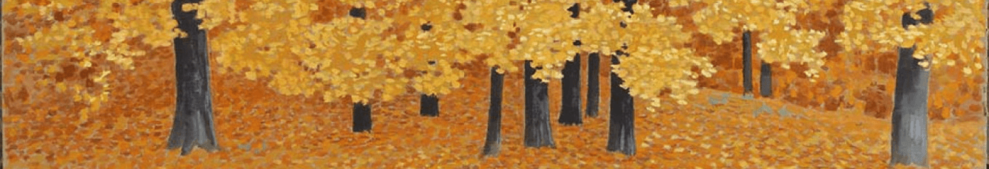 DM Dude (Alex) banner