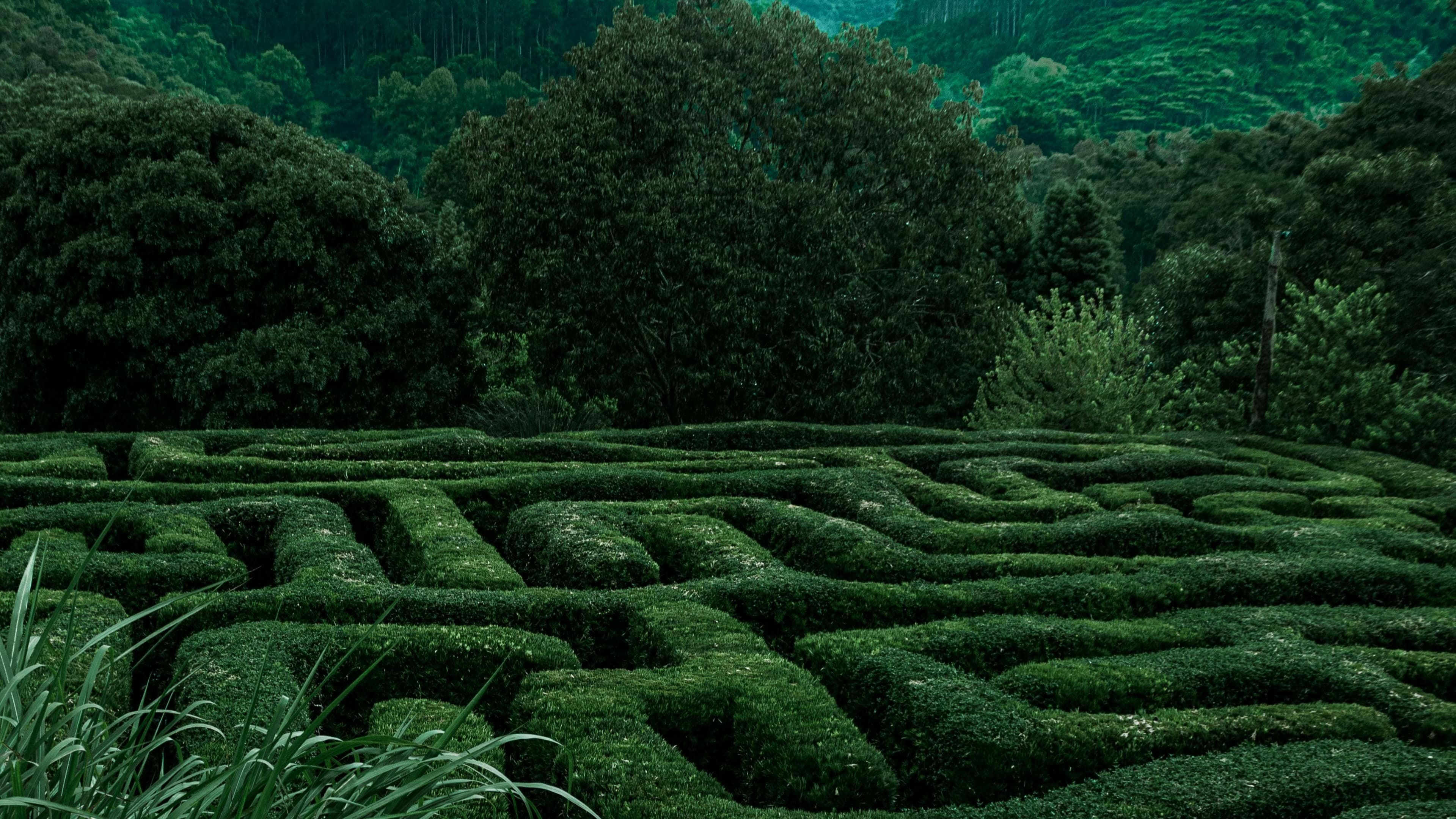 Labyrinth: The Adventure Game