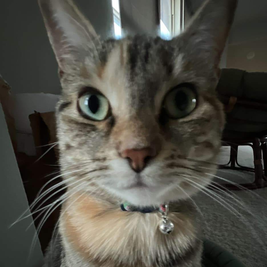 Logan avatar