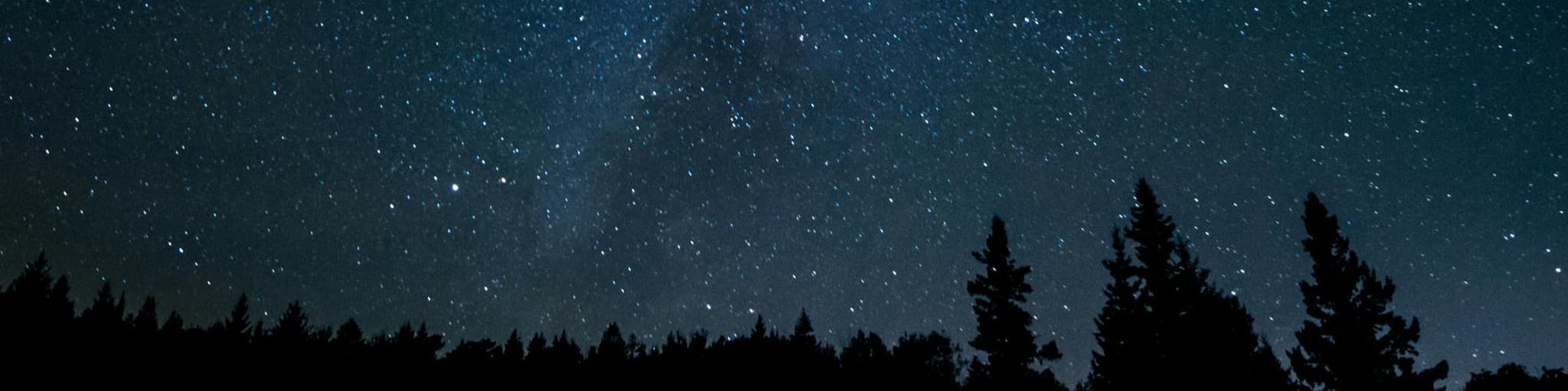 Wizened Turtle banner