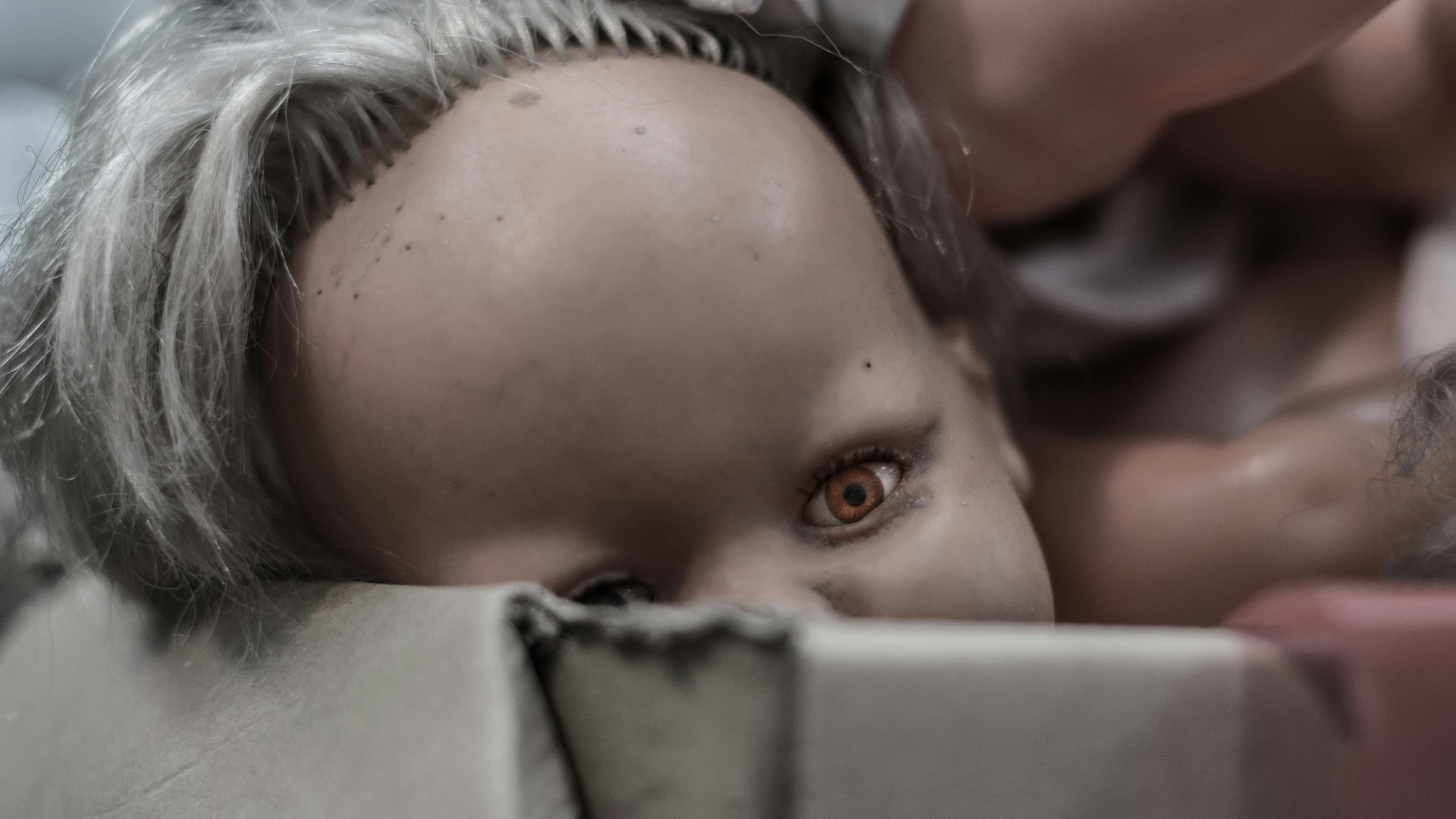 Through the Attic - an Adventure in Toyland