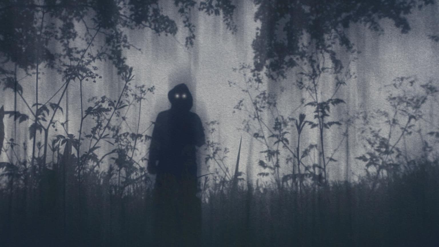 Ghosts of Deep Lake || A Public Access Adventure