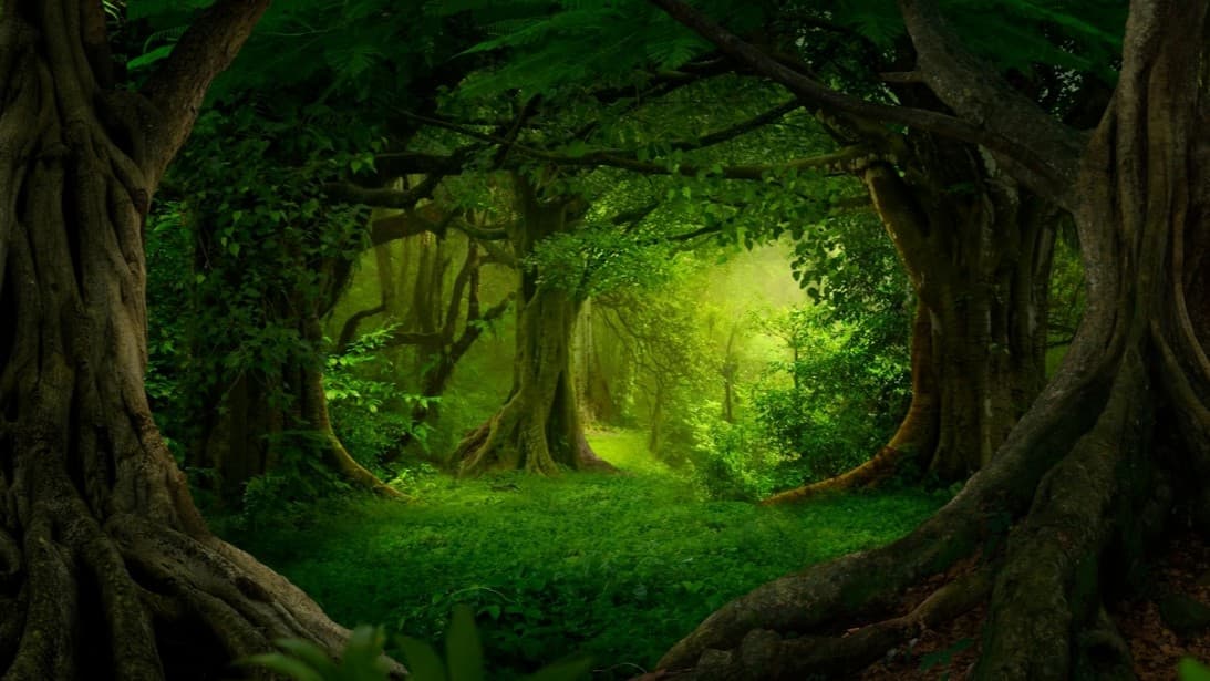 [PBP] Protectors of the Ancient