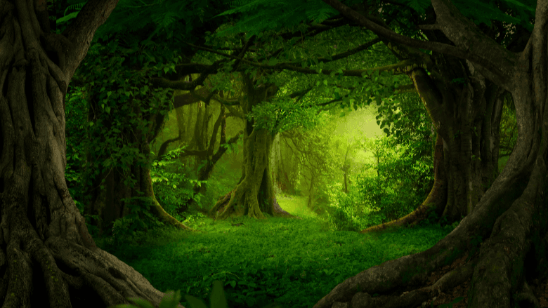 Goblins & the Underdark (Phandelver & Below module)