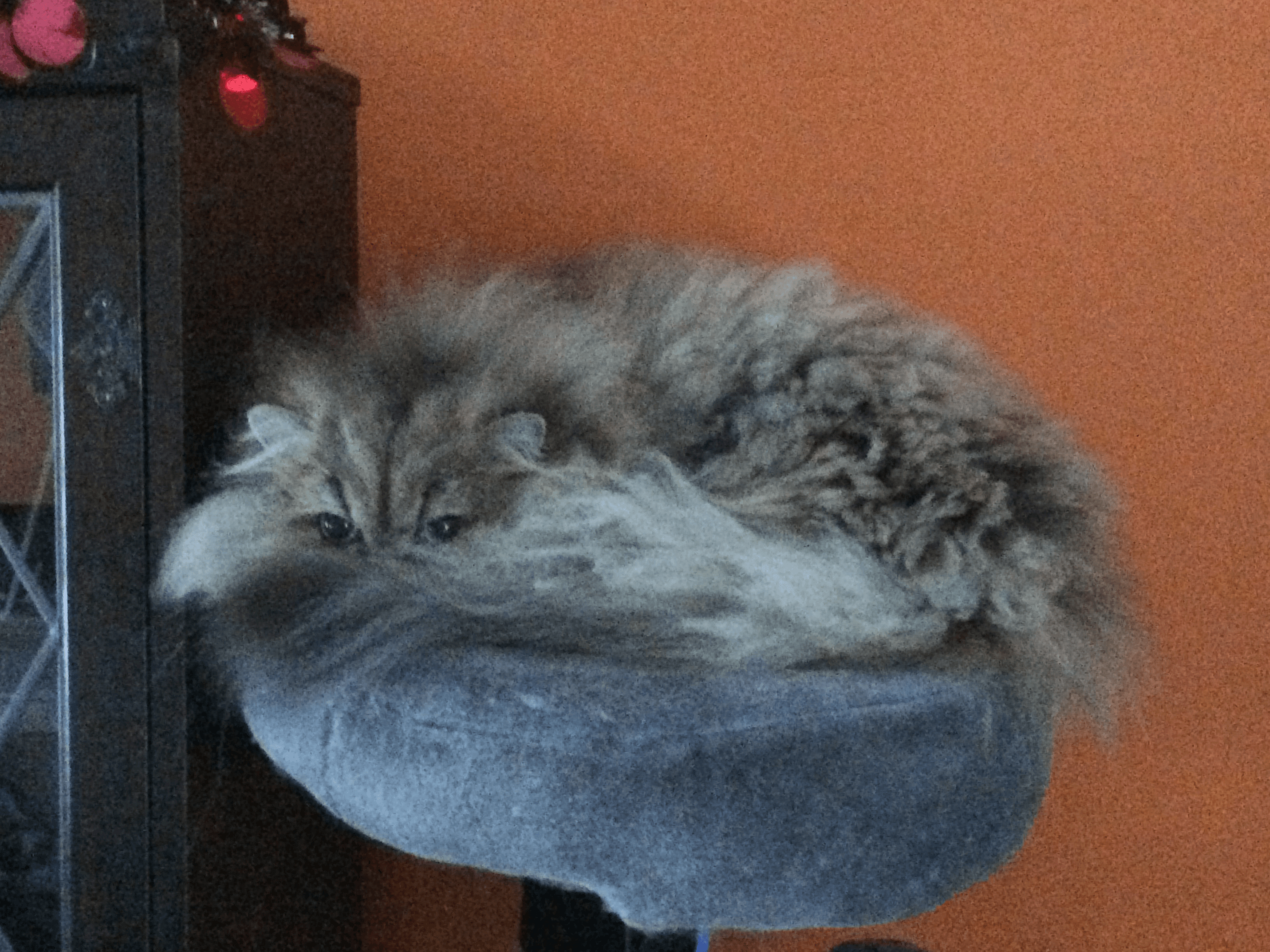 Wizard_Tea (or AK) banner