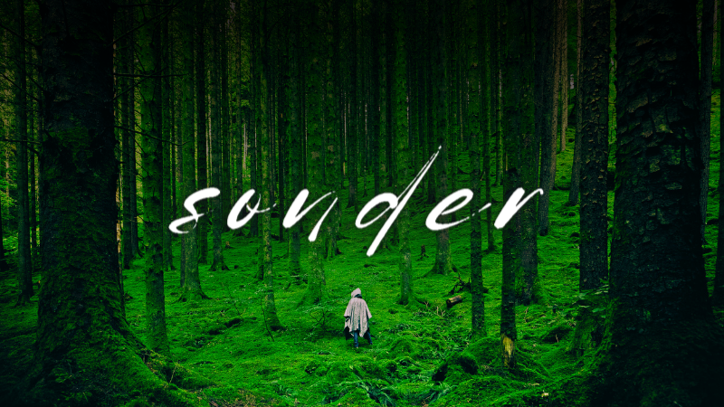 SONDER [ A Changeling: the Lost 2e Campaign ]
