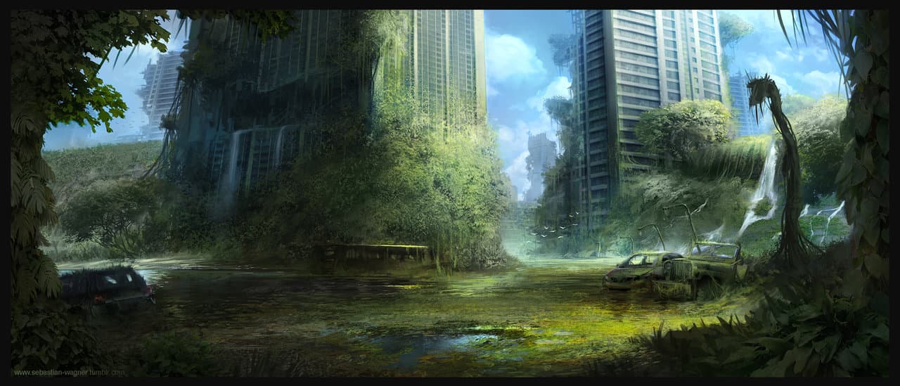 David Rosillo banner