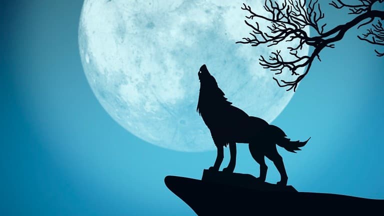 Rage Across the Windy City (W20, Beginner and LGBT+ Friendly!)