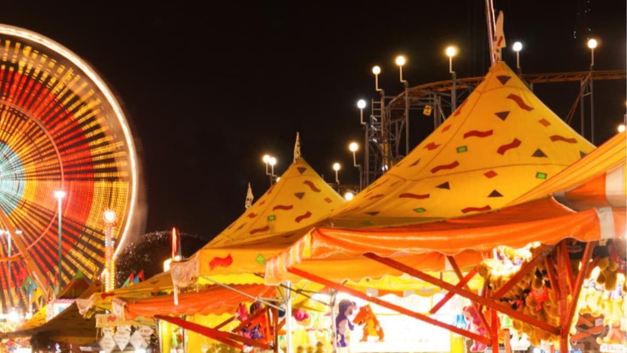 Fellowship | The Circus: Beginner Friendly