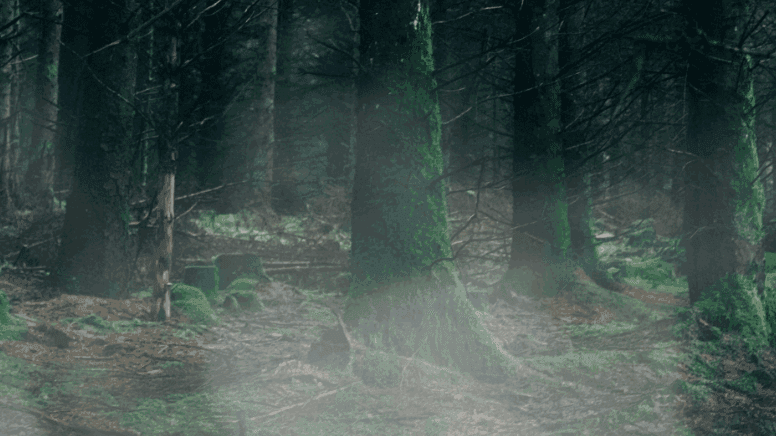 Hush of the Hollowoods: A Domain of Dread Campaign