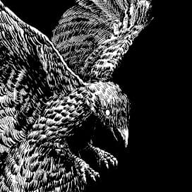 SmokeRaven667 avatar