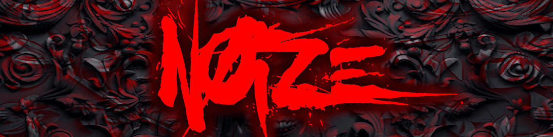 Noize banner