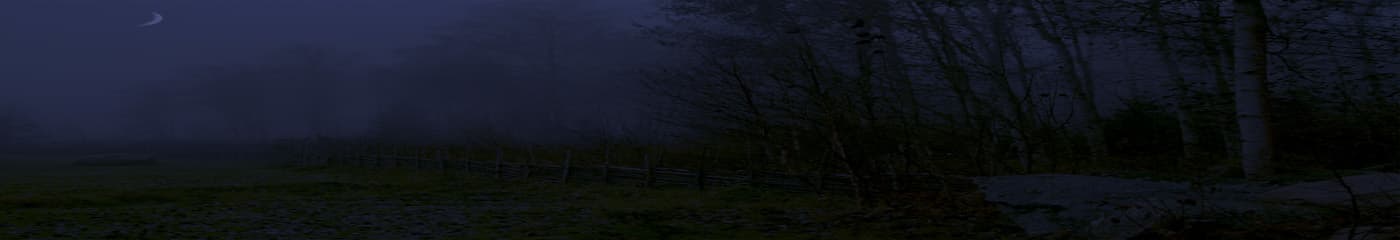 Alex banner