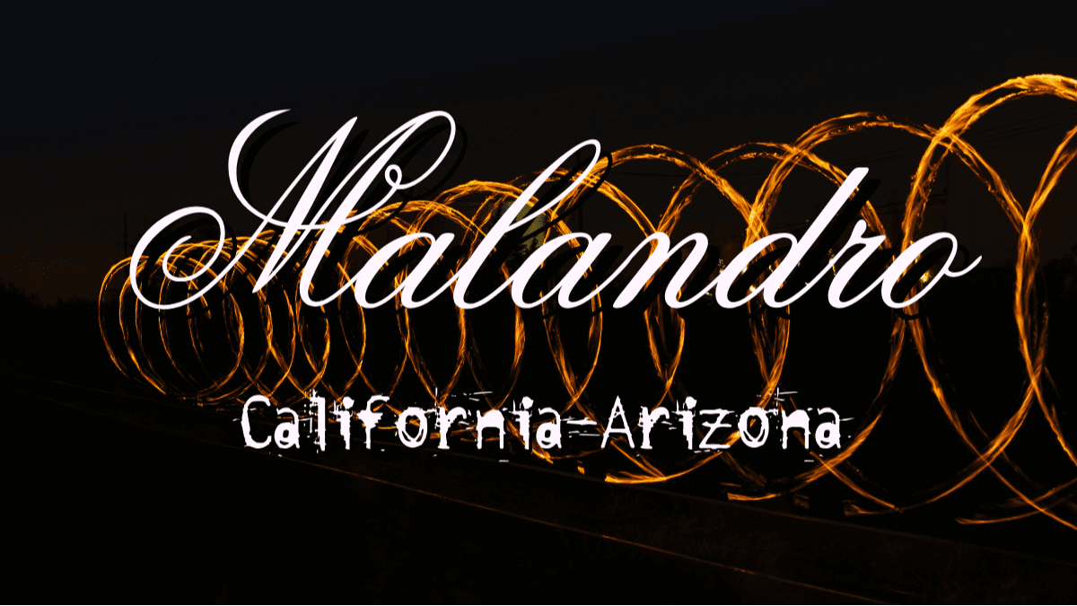 Malandro | California - Arizona | Malkavian Assassin Thriller