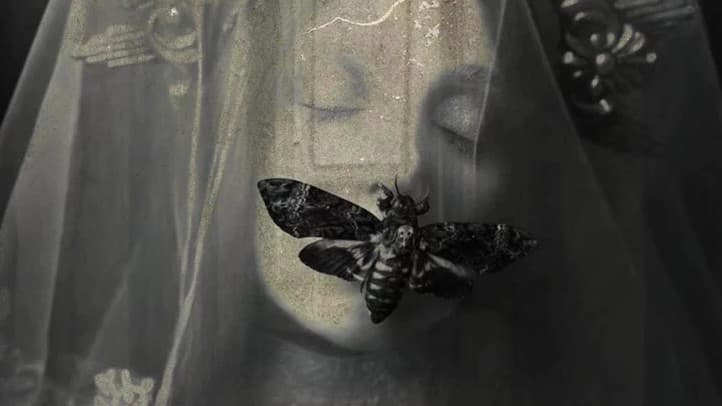 Return to the Rot. | Southern Gothic Curse of Strahd