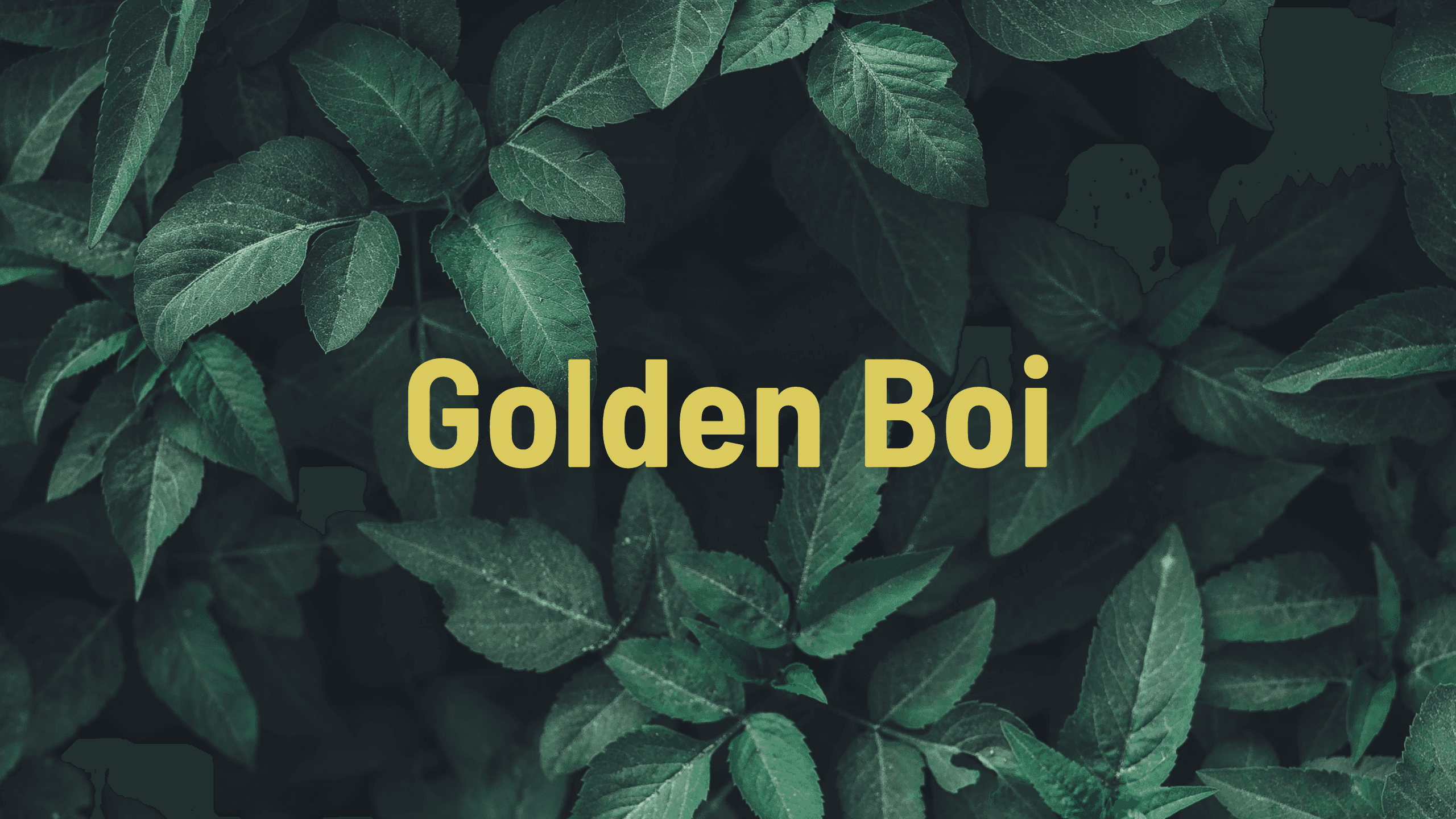 Ethan (golden_boi22) banner
