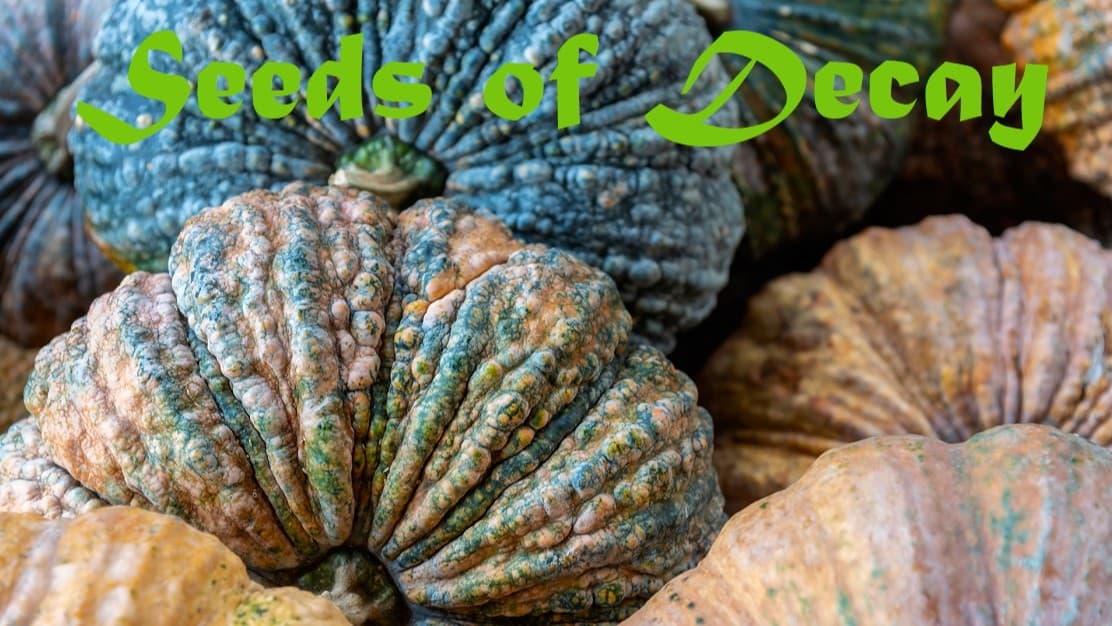 Seeds of Decay