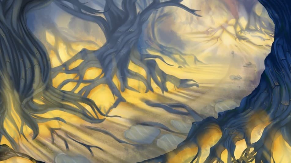 Choices and Pathways