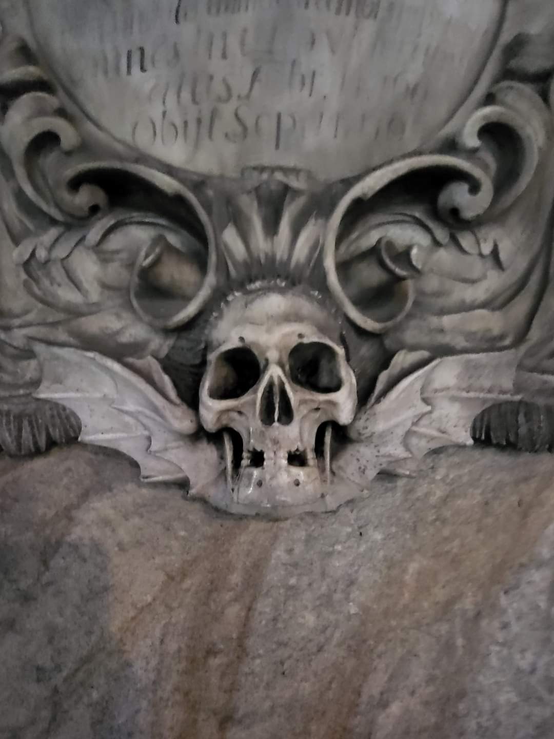 Scott Campbell banner