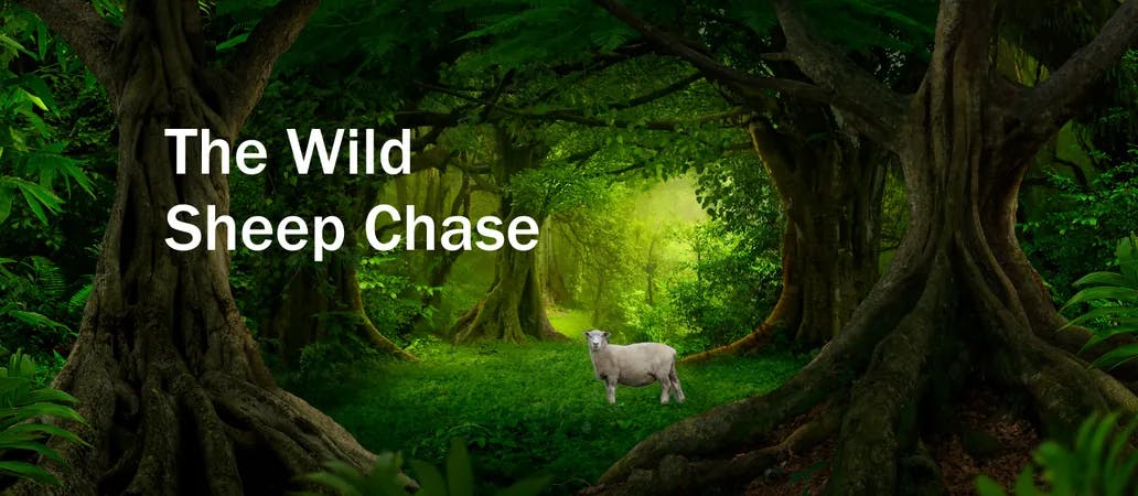 The Wild Sheep Chase