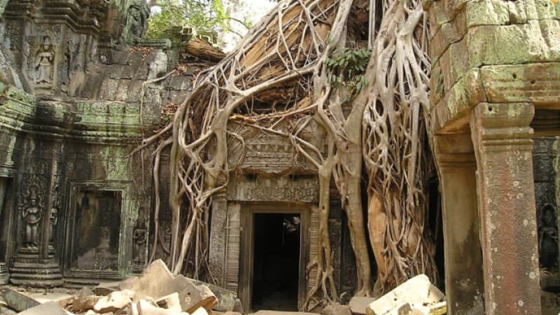 Welcome to the Jungle! Tomb of Annihilation  🏳‍🌈