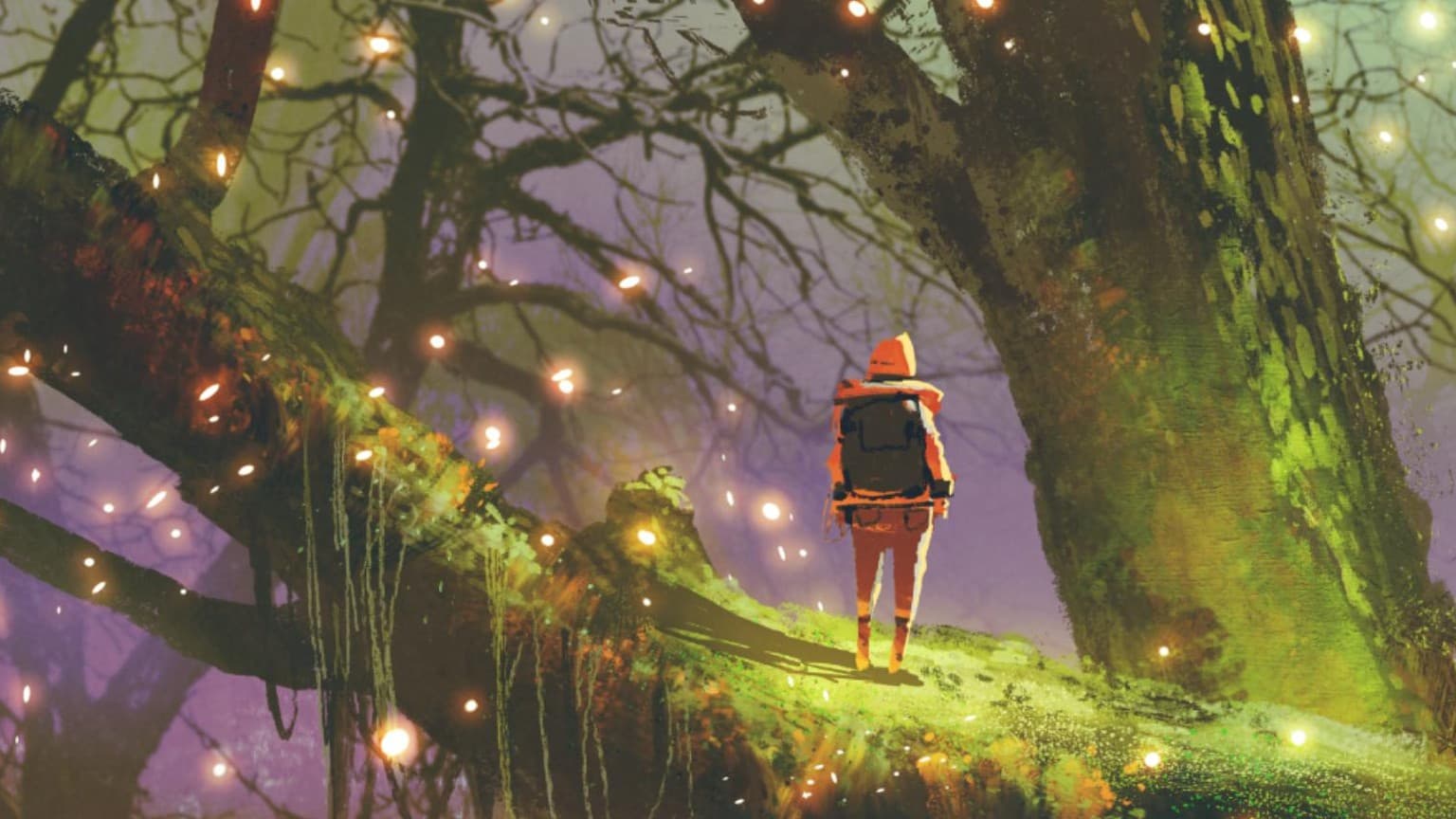 ✨Whimsy within Witchlight ✨