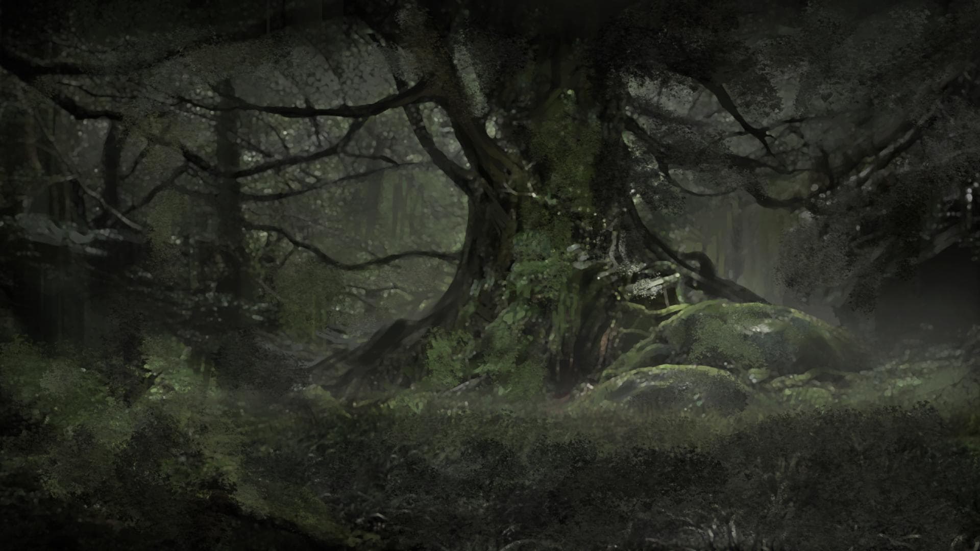 The War of the Shadow Fey