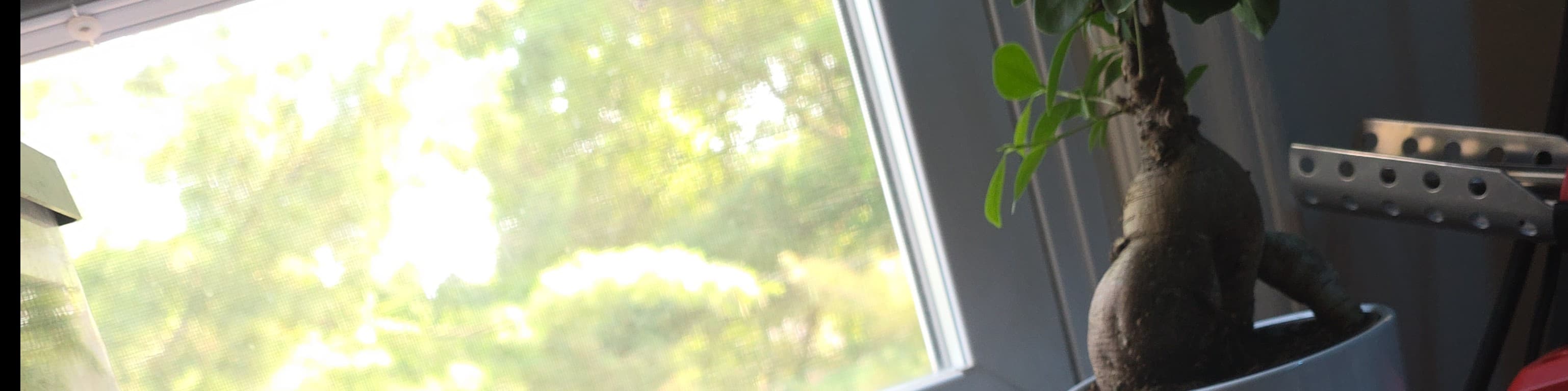 andrew ghaleb banner