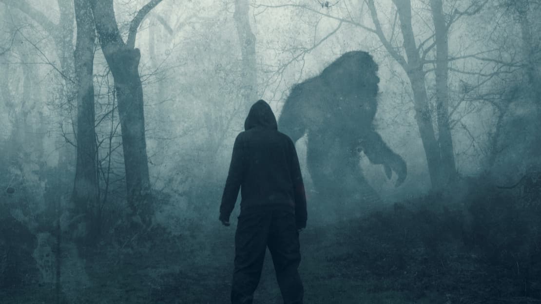 VAESEN | Explore Nordic Horror | THE LOST MOUNTAIN SAGA