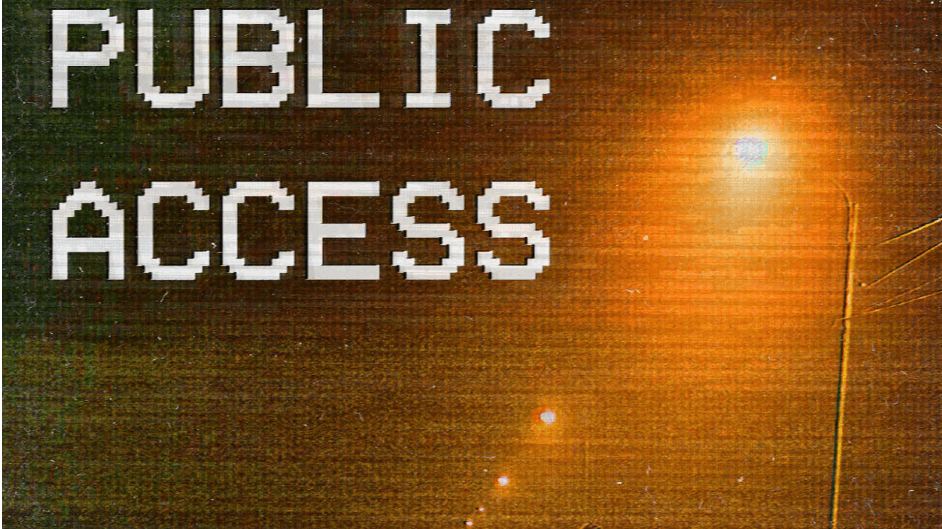 Public Access: Find the Truth Before it Finds You