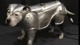 Turn of Fortune's Wheel