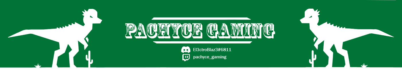 PachyceGaming banner