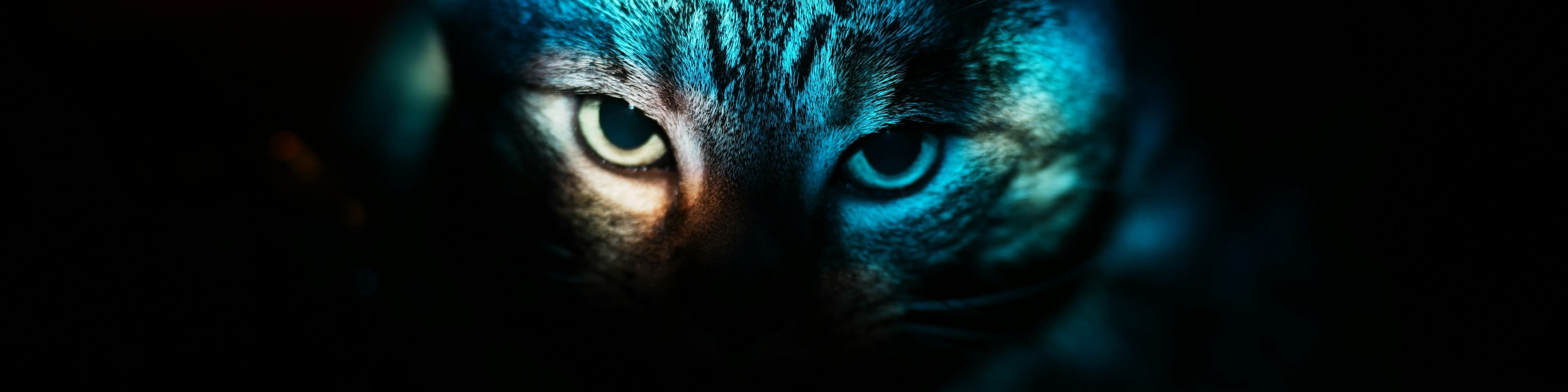 Trisha banner