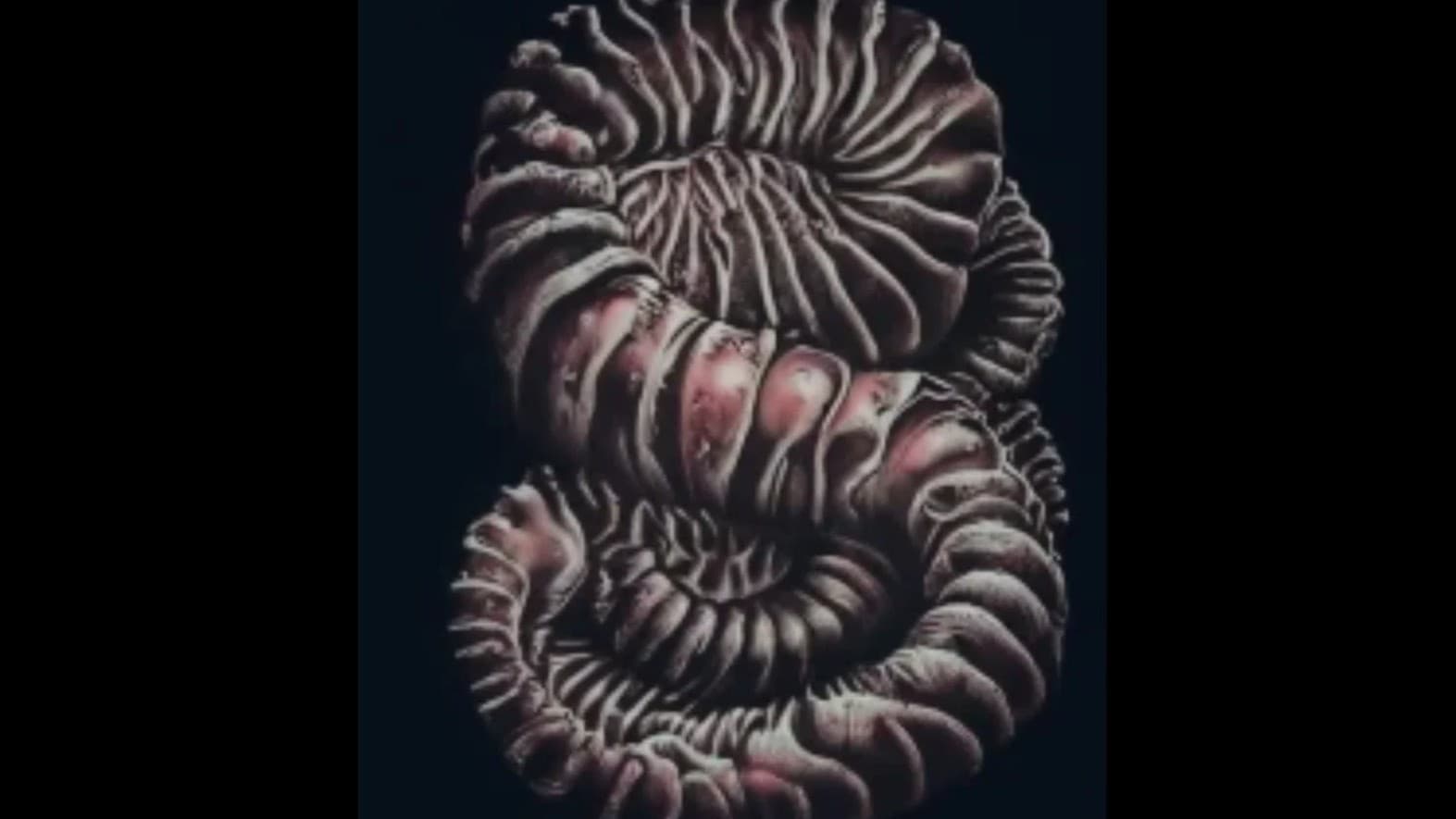 Out of the Abyss: The Lair of the Purple Worm | Level 14 OneShot